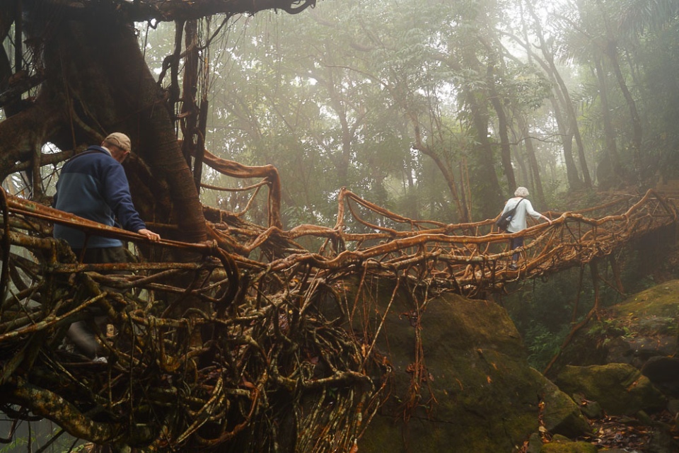 Northeast India Adventure